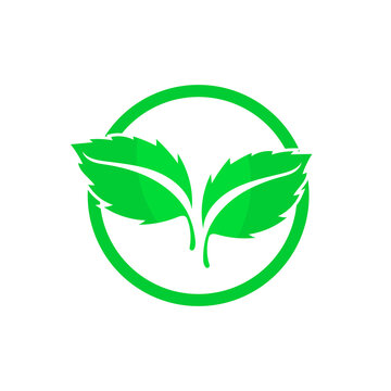 vector round leaf logo concept