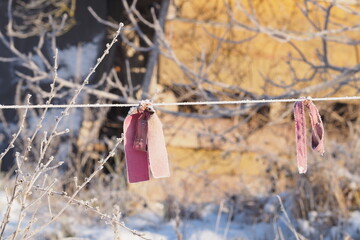 Zamarznięta różowa tkanina na lince zimą na dworze - obrazy, fototapety, plakaty