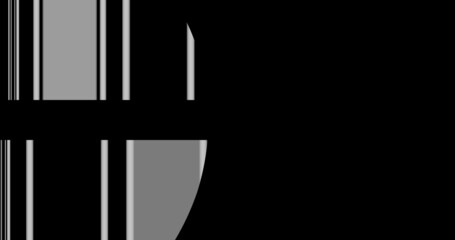 Render with black and white vertical lines on the left side of the screen