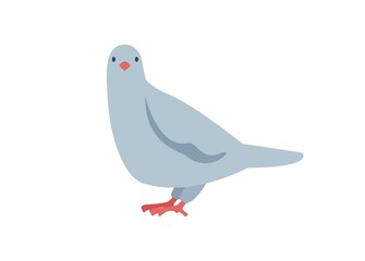 Pigeon bird. Simple flat illustration