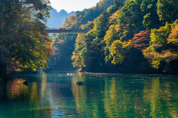 Shiromaru Dam Lake crowned with autumn leaves. 