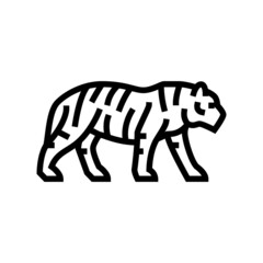 tiger animal in zoo line icon vector. tiger animal in zoo sign. isolated contour symbol black illustration