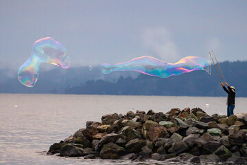 Man Creates Soap Bubbles at Dusk on Puget Sound - obrazy, fototapety, plakaty