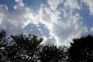 真夏の時期を過ぎて初秋の候、空に映える雲海模様