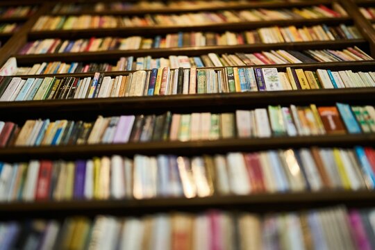Books stacked on library shelves