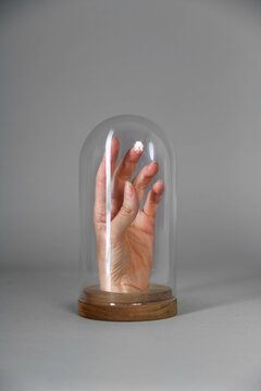 Drawing of a hand inside a cloche glass