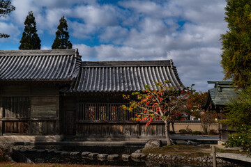 Fototapeta na wymiar Japanese garden with Japanese architecture is in autumn.