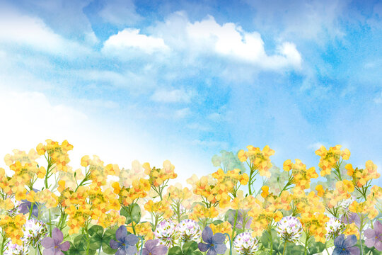 春の花畑の風景　水彩画