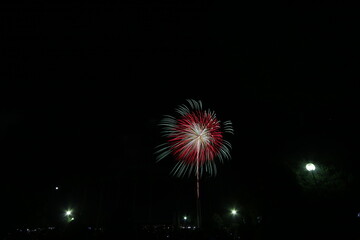 名古屋港冬花火