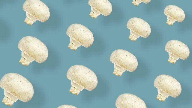 Colorful pattern of fresh mushrooms on blue background with shadows. Seamless pattern with champignon. Top view. Realistic animation. 4K video motion