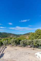 Fototapeta na wymiar Landscape near the town of Sagunto in the Valencian community Spain. Valencia Spain. Crops and mountains.