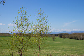 春の草原の丘と青空
