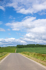 Fototapeta premium 緑の丘陵地帯を通る道と青い空 
