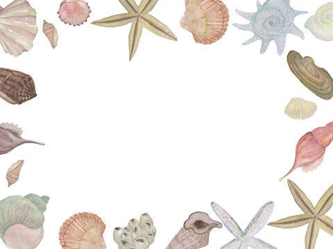 Card template with watercolor painting sea shells and stars 