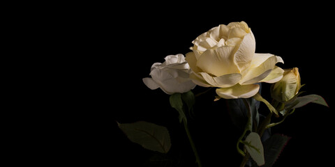 Fototapeta na wymiar fake flowers or beautiful textile flowers on a dark background