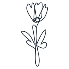 Simple flower line art isolated vector illustration. Botanical pointing in doodle style. Natural decoration