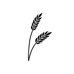 Wheat, barley, rice icon. Hand drawn sketch style oat with grain. Wheat isolated vector illustration.