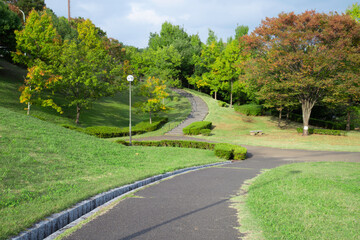 カーブする公園の散歩道