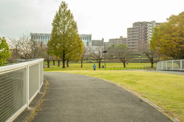 カーブする郊外の公園の散歩道