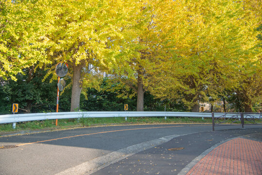 262 Best 曲がり道 Images Stock Photos Vectors Adobe Stock 262 Best 曲がり道 Images Stock Photos Vectors Adobe Stock