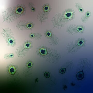 1 6 Best クジャク Images Stock Photos Vectors Adobe Stock 1 6 Best クジャク Images Stock Photos Vectors Adobe Stock