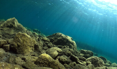 Underwater world of Mediterranean Sea. Near Marmaris, Turkey