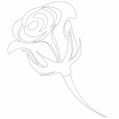 Black and white image of a rose