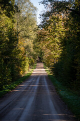 Selective focus photo. Forest road.