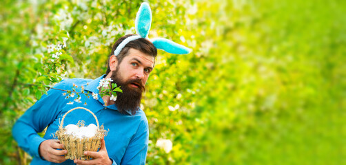 Happy easter. Humorous series of a man in bunny suit. Good for Easter or ironic situations. Banner.
