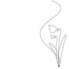 Snowdrops flowers on white background vector illustration