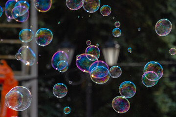 Soap bubbles in the sun's rays
