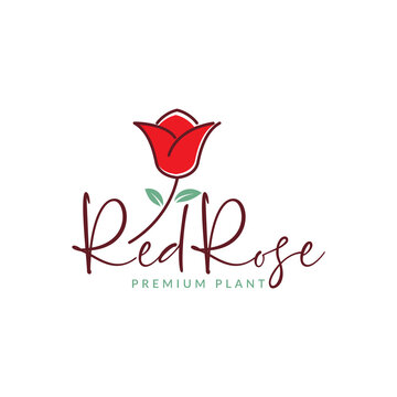 feminine art line abstract red rose logo design vector graphic symbol icon sign illustration creative idea