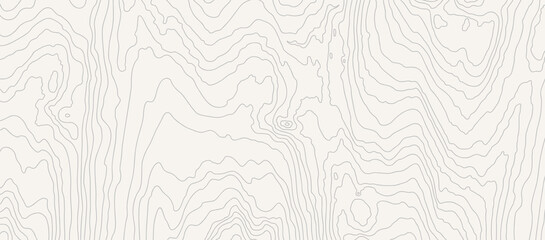 Wooden white wavy pattern. Tree fiber, wood grain texture. Dense lines. Abstract topographic background. Vector illustration - obrazy, fototapety, plakaty