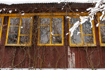 empty windows of wooden house