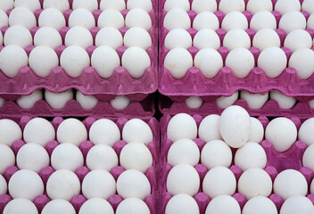organic cucumbers in the market