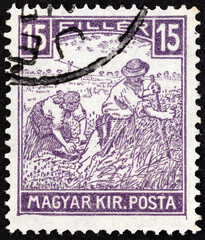 Harvesters in field (Hungary 1916)