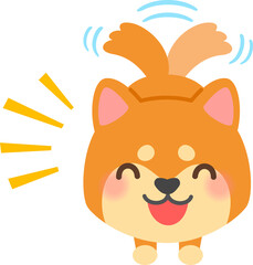 尻尾を振る柴犬