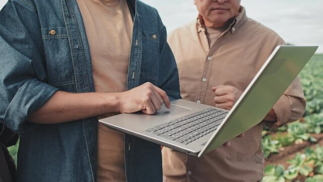 Group of two men and one woman standing on cabbage farm field watching something on laptop