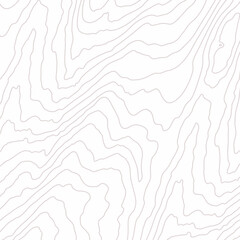 Wooden wavy pattern. Tree fiber, white wood grain texture. Dense lines. Abstract topographic background. Vector illustration