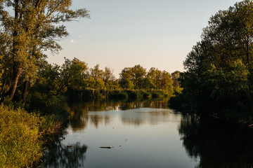 summer lake surrounded by trees at dawn
