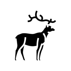 deer animal in zoo glyph icon vector. deer animal in zoo sign. isolated contour symbol black illustration