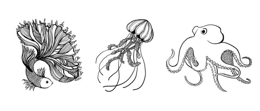 Line marine animals in black set. Underwater animals isolated on white background. Aquatic illustration for design, print or background.