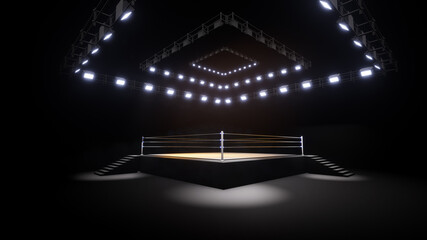 Sports wrestling and boxing. Sport 4K professional background, 3d illustration - obrazy, fototapety, plakaty