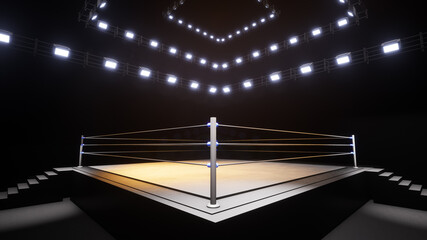 Sports wrestling and boxing. Sport 4K professional background, 3d illustration - obrazy, fototapety, plakaty