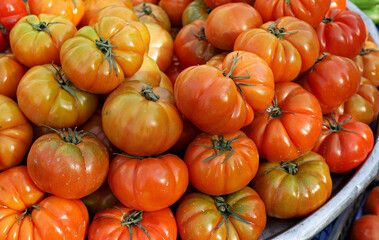 organic raw tomatoes at the market
