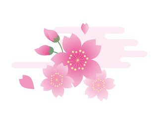 春　桜　花びら