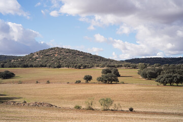 Fototapeta na wymiar Agricultural land pasture hills dry grass Spain La Mancha