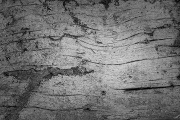 Wood cracked and dust background.