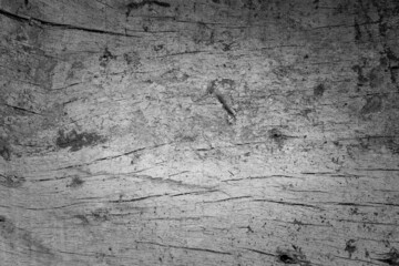 Wood cracked and dust background.