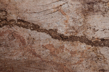 Wooden cracked and dust background texture.